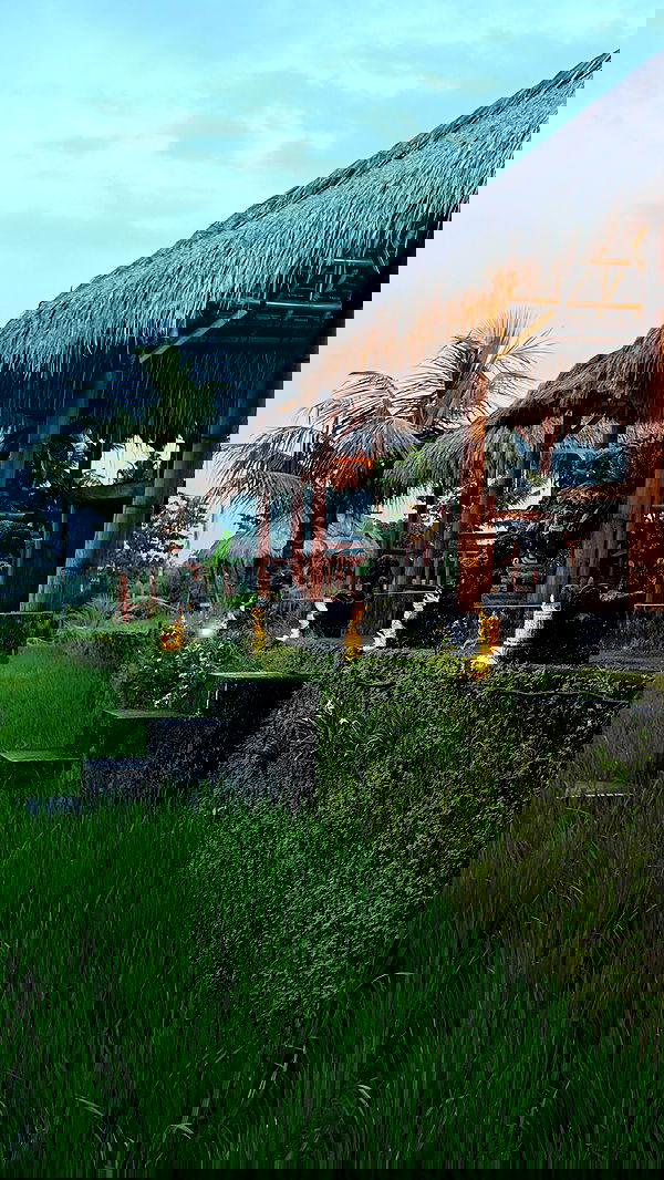 taylor.creeden taylor.creeden archive image