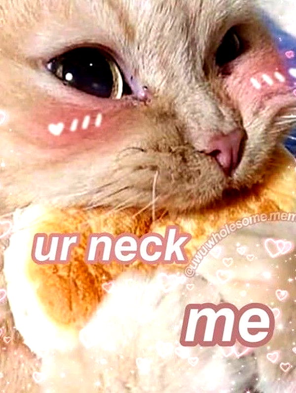milkiwifey instagram image archive image