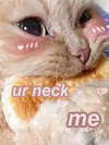 milkiwifey Altpins Profile Picture
