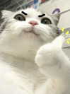 kimchieexox Altpins Profile Picture