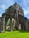 mollieruck Altpins Profile Picture