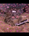 milkiwifey Altpins Profile Picture