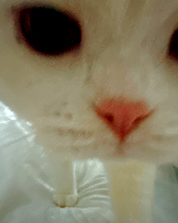 hanariv3v instagram image archive image