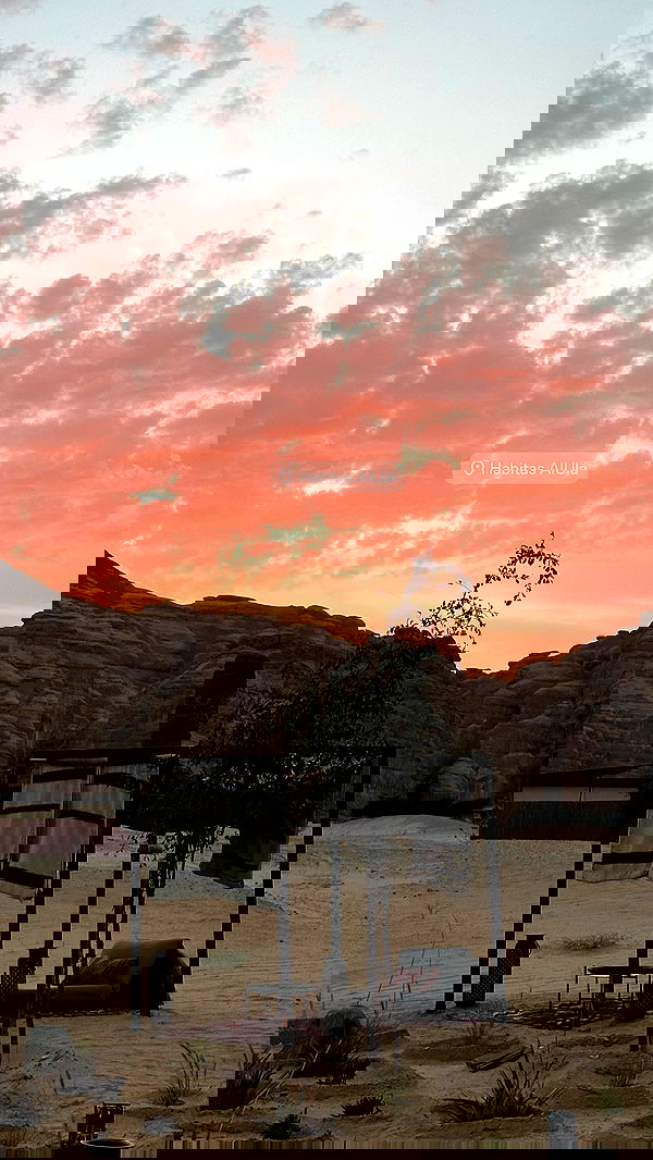 taylor.creeden taylor.creeden archive image