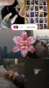 eliya.ho Altpins Profile Picture