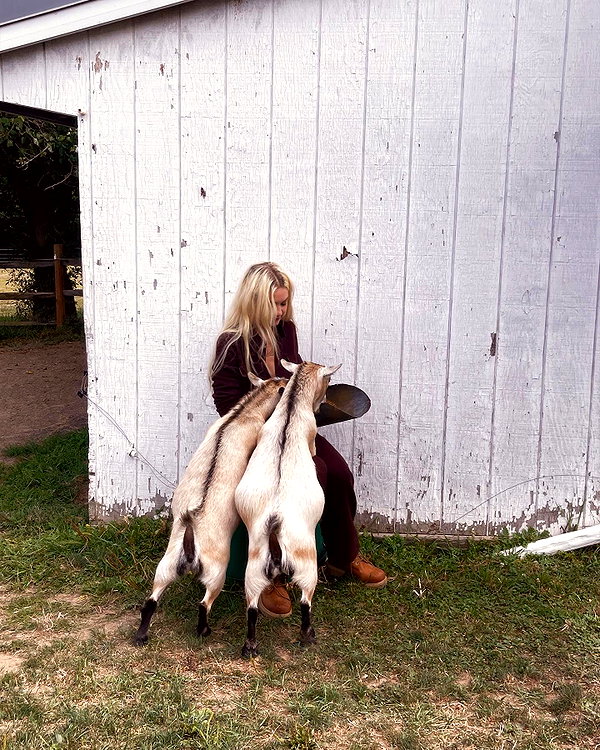 gigihadid instagram image archive image