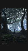 merveystar Altpins Profile Picture