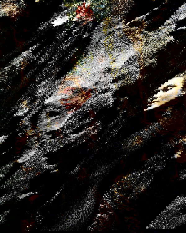 taylor.creeden taylor.creeden archive image