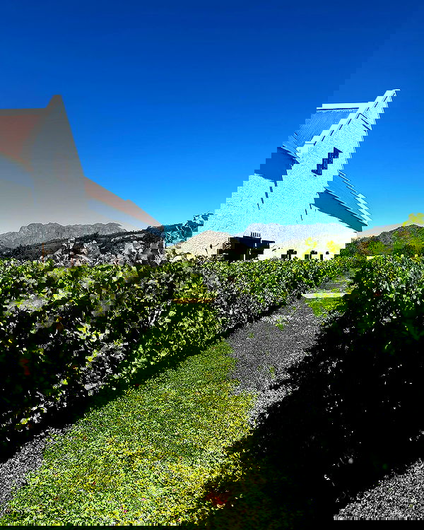 taylor.creeden taylor.creeden archive image