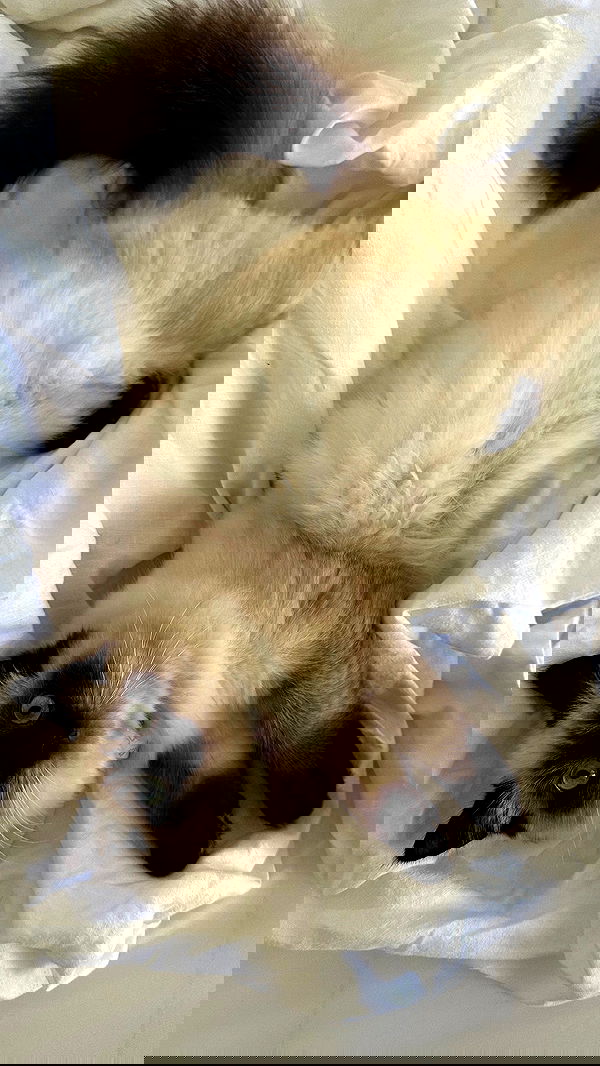 taylor.creeden taylor.creeden archive image