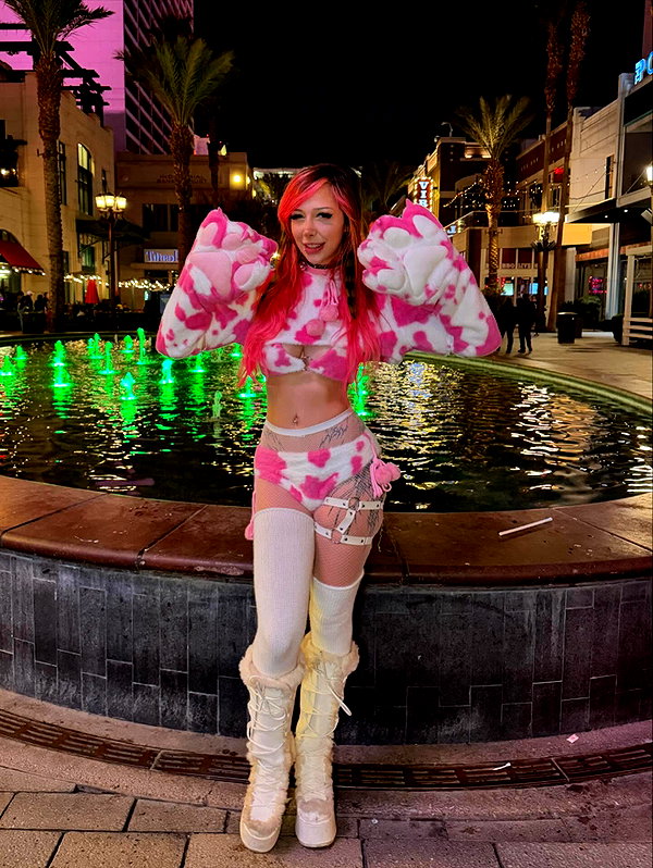 pixelpuppi instagram image archive image