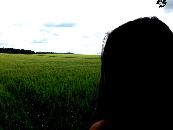 veiyul instagram image archive image