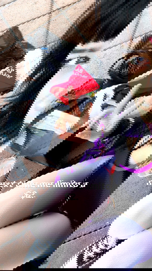 mosssaico mosssaico archive image