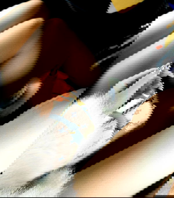 danbbyyy danbbyyy archive image