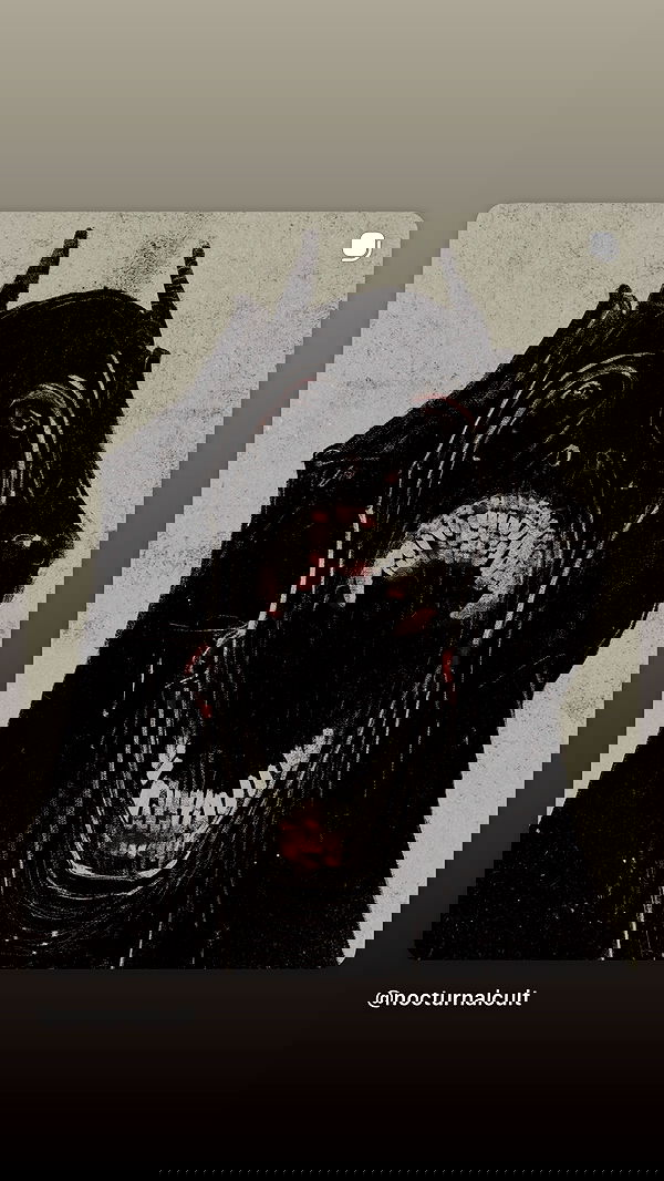 dustheadd dustheadd archive image