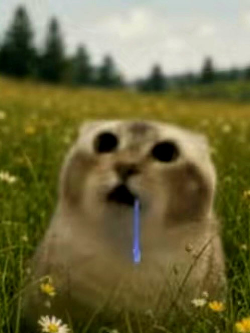 emiru.jpg instagram image archive image
