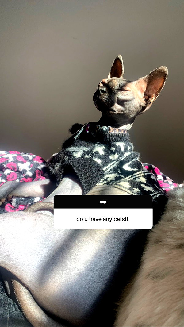 Archived image from @e1or4 on Instagram