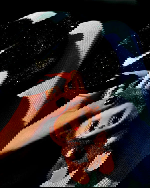 jtilb2 image ~ Altpins