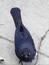 machine_mommy Altpins Profile Picture