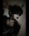 darkblueyoshii Altpins Profile Picture