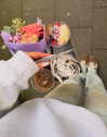 sophiecharlotth Altpins Profile Picture