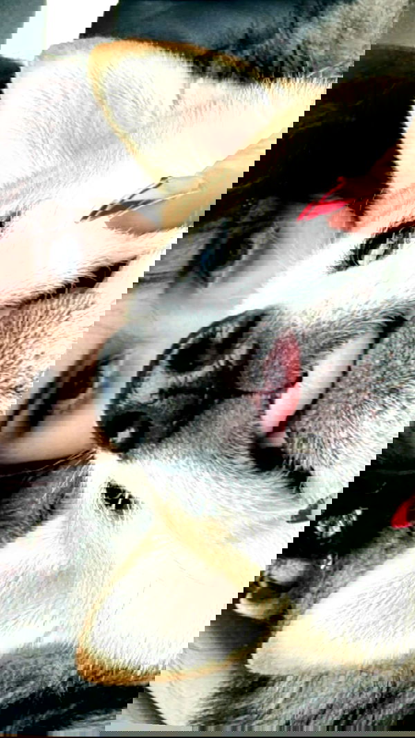 zommmbri zommmbri archive image