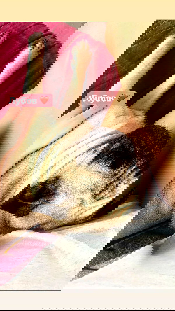 nyityam nyityam archive image