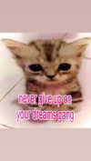 babynympho_archive Altpins Profile Picture