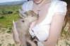 ch111oe Altpins Profile Picture