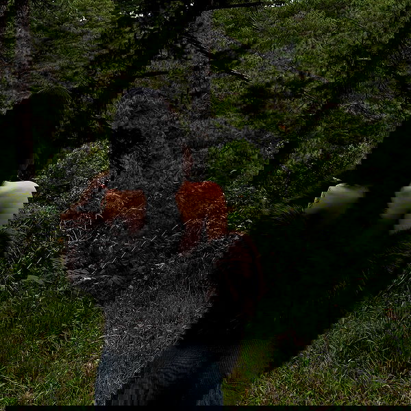 danbbyyy danbbyyy archive image