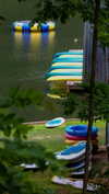 roni_ackerman Altpins Profile Picture
