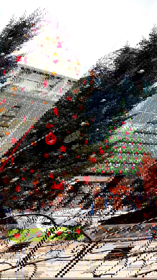 shanidahan7 image ~ Altpins