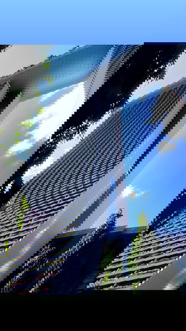 thelizzyporter thelizzyporter archive image