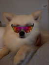 noa.benhemo Altpins Profile Picture