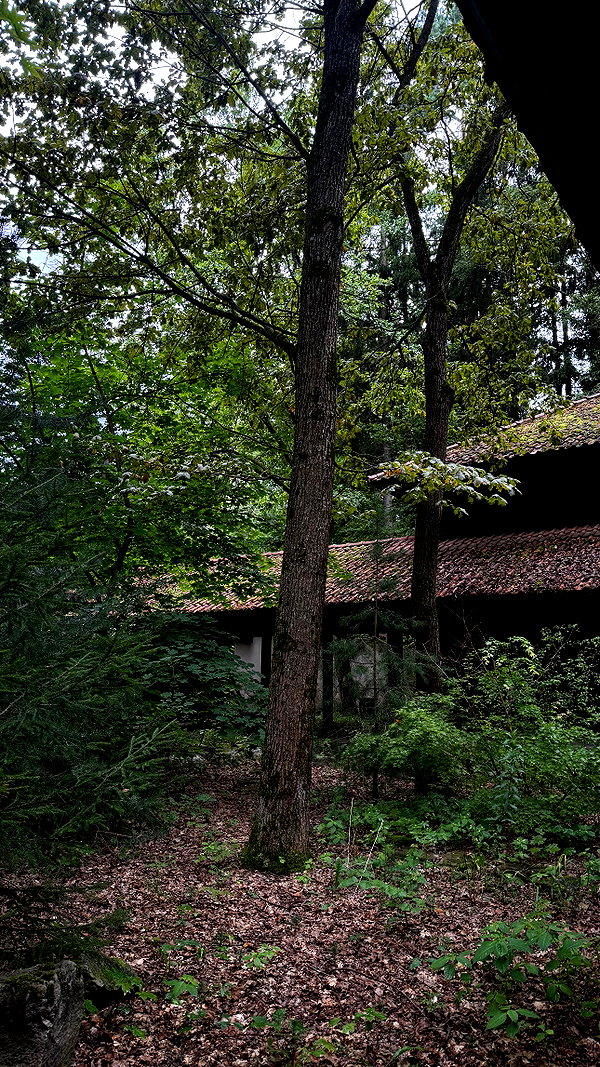 amatveyko archive image