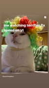 babynympho_archive Altpins Profile Picture
