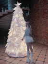 jadelaverne Altpins Profile Picture