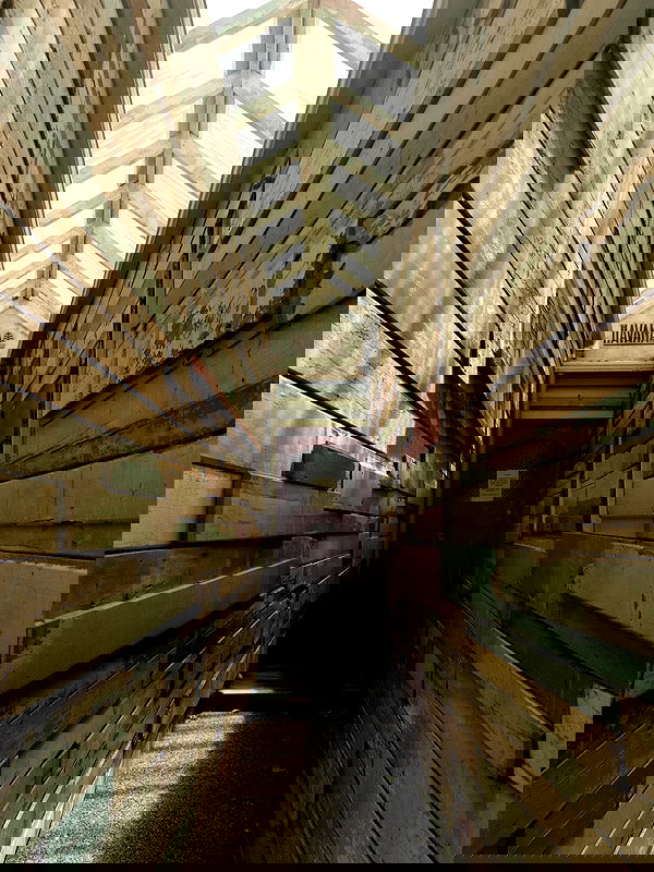 itshayleydavies itshayleydavies archive image