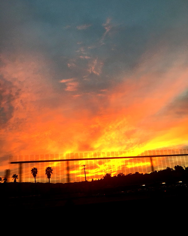 haileylayfield instagram image archive image