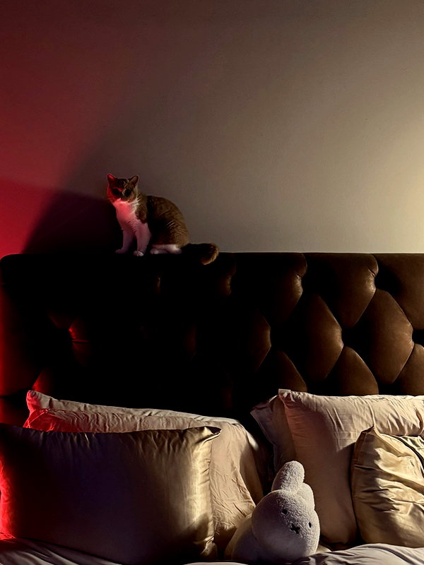 sabrvna instagram image archive image