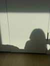 rchhhll Altpins Profile Picture