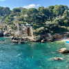 michalcohen___ Altpins Profile Picture