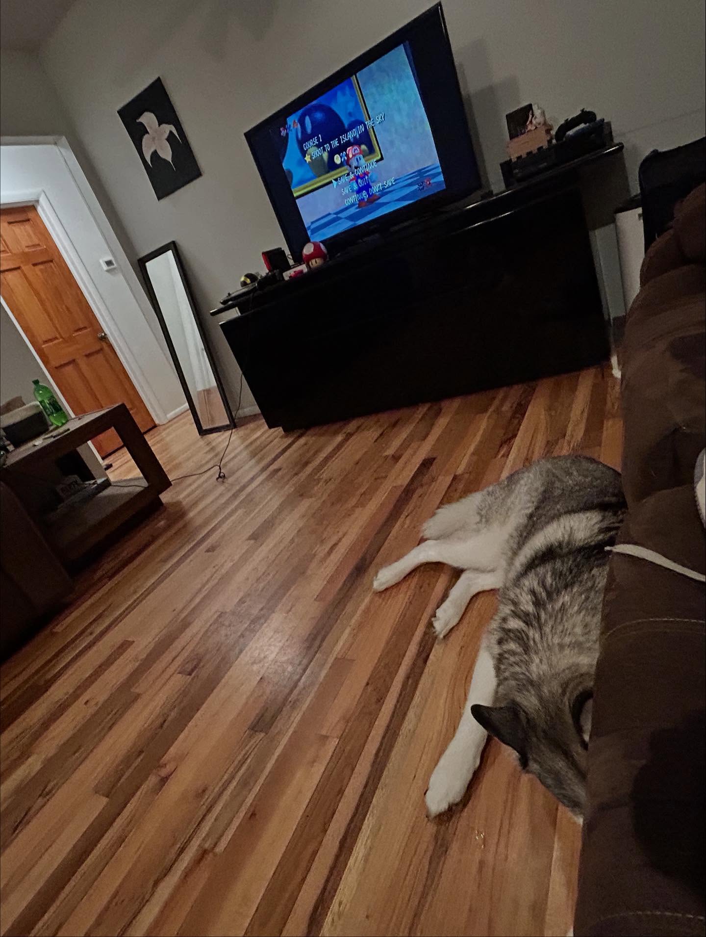 _animechika_ instagram image archive image