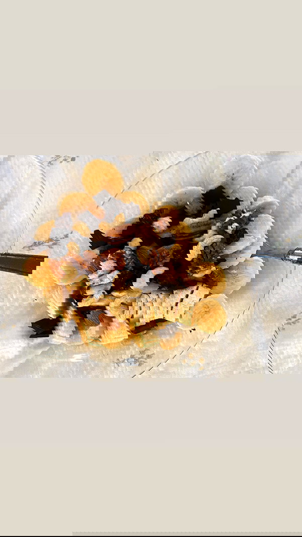 orchidmurmur orchidmurmur archive image