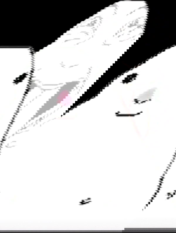 bunnirinni bunnirinni archive image