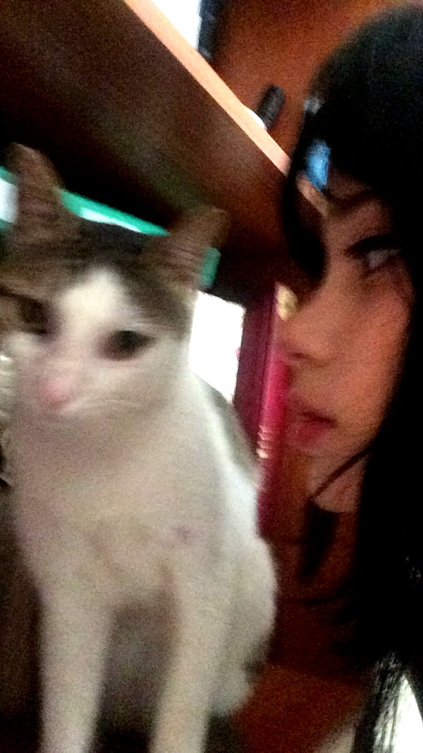 moonliliaght instagram image archive image
