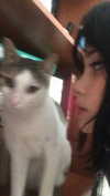 moonliliaght Altpins Profile Picture
