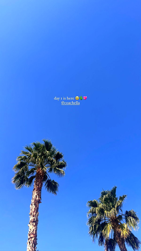 allieauton archive image