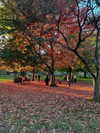 tatumchurch Altpins Profile Picture