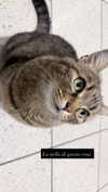 nishymoon_ Altpins Profile Picture